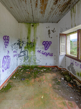 Int&eacute;rieur de maison foresti&egrave;re abandonn&eacute;e et tagu&eacute;e  &agrave; Mur&ccedil;o, Minho, Portugal
