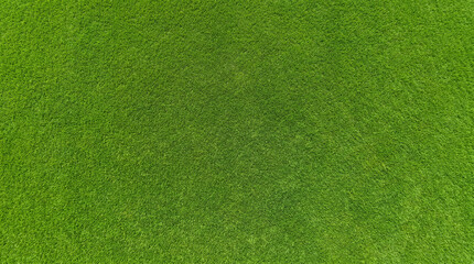 Vibrant green grass texture background seamless pattern © DANG QUANG