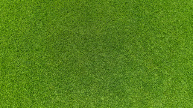 Vibrant green grass texture background seamless pattern