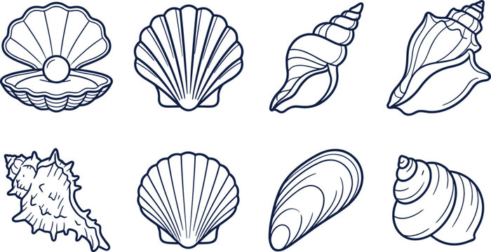 Seashell outline vector illustration collection featuring navy blue line art of scallop conch mussel oyster and pearl shapes isolated on white