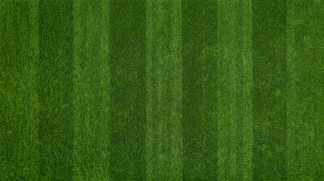 Perfectly manicured green grass field with stripes from mowing