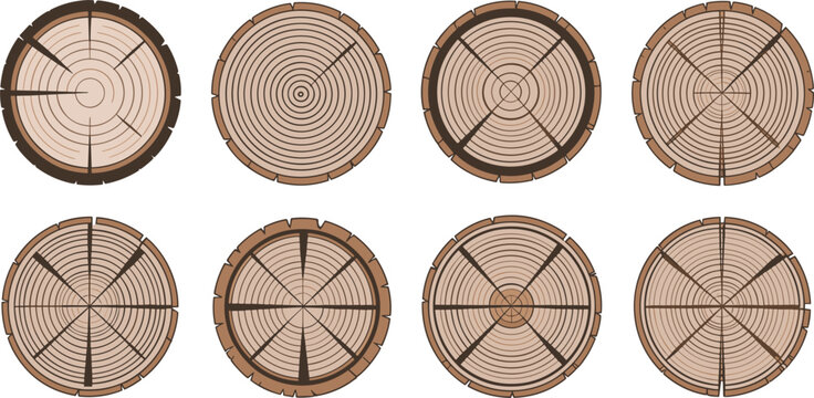 Vector wood slices set with tree rings trunk cross section texture collection isolated on white background for organic rustic nature design elements