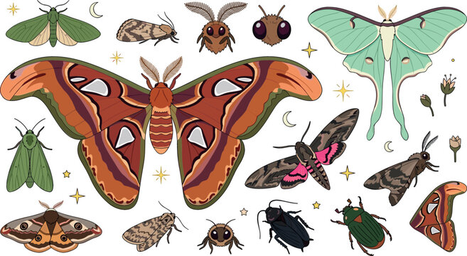 Moth and insect vector illustration collection featuring atlas moth luna moth beetles and celestial night elements isolated on white background