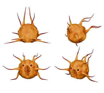3D illustration of an orange monster. 3D rendering of a monster design isolated on a white background. 