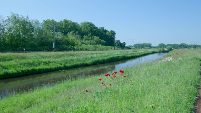 Passenger train traveling along a rural ditch in summer