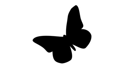 Fototapeta premium Butterfly Silhouette