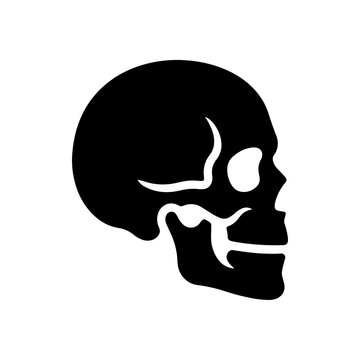 Black silhouette of a human skull facing right isolated on white background