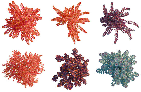 Set of  Cotinus grace tree plan, top view, cutout, transparent background, isolate, Abstract Fractal Structures - Six Different Colorful Organic Forms in a Clean Presentation.