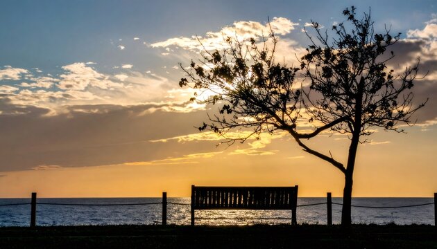 Empty park bench and tree silhouette at sunset