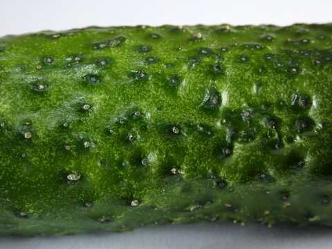 Green cucumber skin texture as natural background