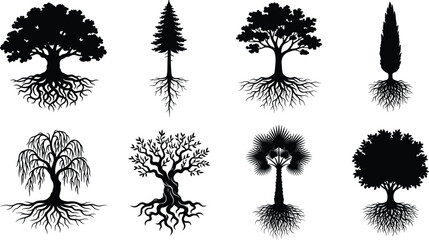Fototapeta premium Black and white trees with roots vector silhouettes icons set isolated on white background