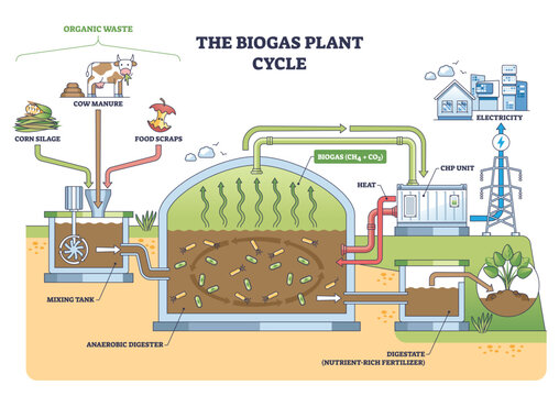 Biogas plant cycle shows organic waste turning into energy and fertilizer via anaerobic digester, mixing tank, and CHP unit, illustrating closed-loop renewable production. Outline diagram