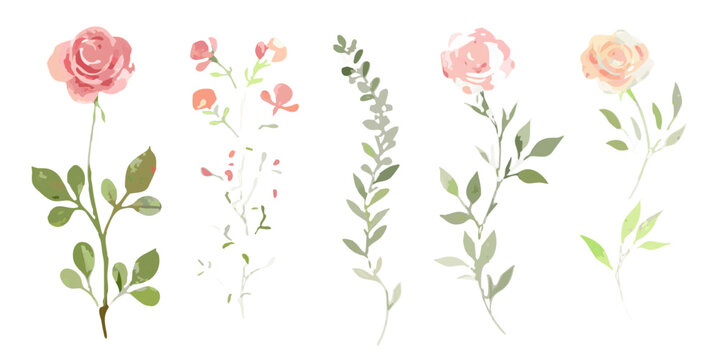 Floral arrangement illustration with roses buds and leafy stems on black