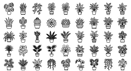 House Plant Vector Icon Set with Indoor Potted Plants and Botanical Symbols © MdArif