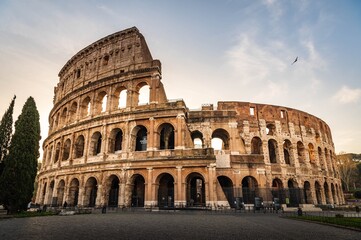 Naklejka premium colosseum in rome