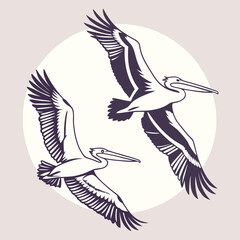Obraz premium Pair of Pelicans Soaring Face to Face in an Elegant Logo Design Vector Illustration for Unique Artistic Branding