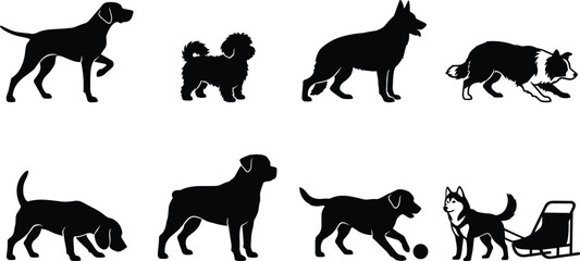 Dog Breeds and Canine Activities Icons Set with Pet Care Symbols © MstRostama