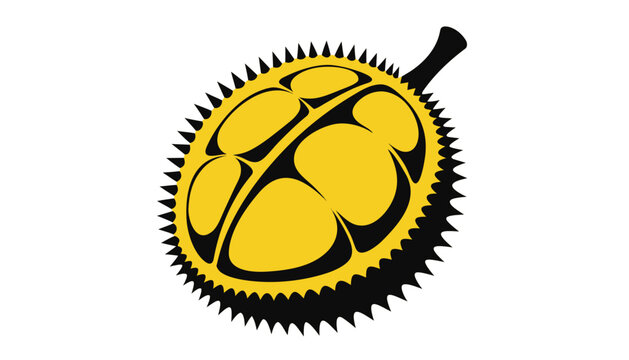 vector illustration of a durain 