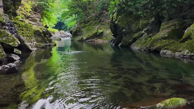 Aerial low flight upstream over reflective river with waterbird in Amagi Yugashima Japan