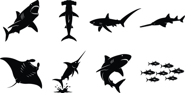 Collection of black silhouettes featuring various dangerous sea creatures including sharks, sawfish, stingray, and swordfish in isolation.