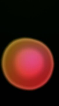 Multicolor Gradient Liquid Blob Background Pack, 5 Seamless Loops, 9:16 Vertical Video