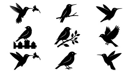 Hummingbird and garden bird silhouette icon set featuring black vector birds flying nesting and perched on fence posts © Kulsum