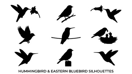Hummingbird and eastern bluebird silhouette icon set featuring black vector birds flying nesting and perched on tree branches © Kulsum
