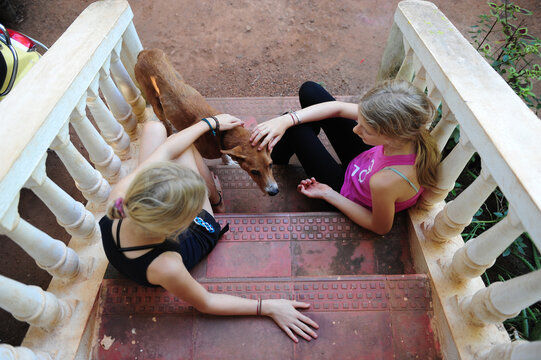 People and Pets - 2 girls and a dog on the steps