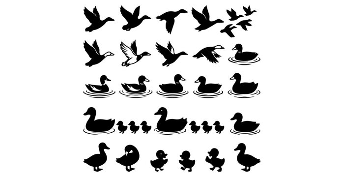Black and white flying birds silhouette collection