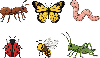 Cute cartoon insects and bugs collection set including butterfly ladybug bee grasshopper ant and worm © Hadiul