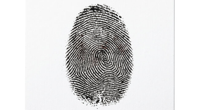 Black ink fingerprint showing detailed whorls and ridges
