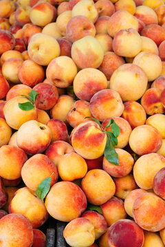 Fresh peaches 