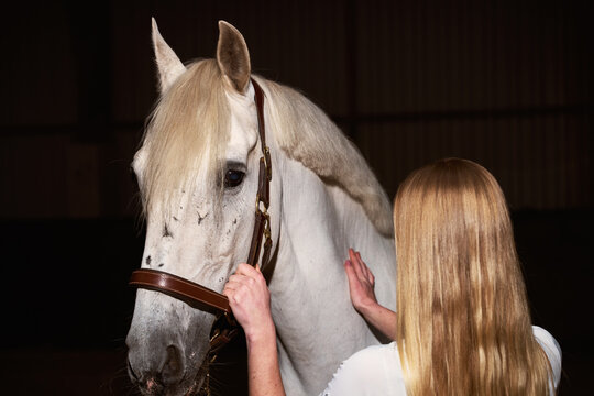 Person Interacts With a White Horse in Indoor Space During Evening