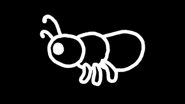 Transparent hand-drawn 2D loop animation of an ant with a wiggly doodle line effect. Minimalist white line art icon for cartoon insect design, cute wildlife motion graphics, and social media.
