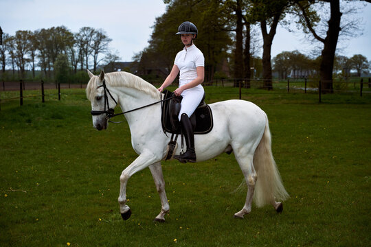 Rider Practices on White Horse in Green Field at Evening