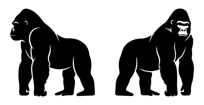 Two gorillas standing side by side silhouette style