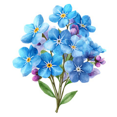 Forget-me-not Bouquet, watercolor illustration isolated on white background © John