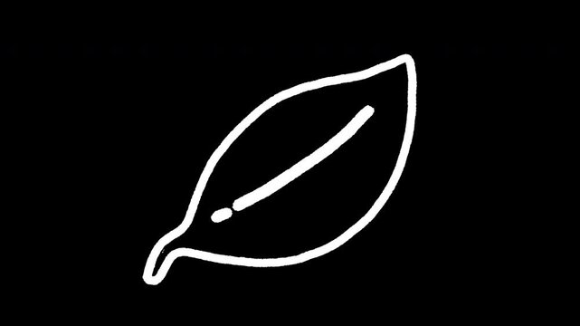 Transparent background hand-drawn 2D loop animation of a leaf with a wiggly doodle line effect. Minimalist white line art icon for organic design, cute nature motion graphics, and social media.