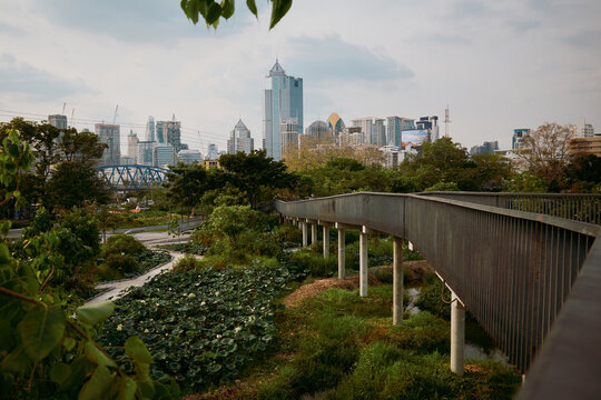 A Bangkok park features pathway and skyline view during the day