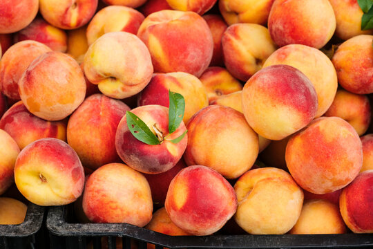 Fresh ripe peaches 