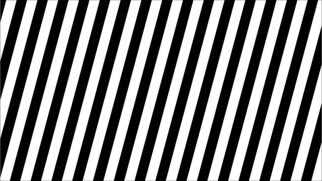 Abstract Black and White Vertical Background with Diagonal Zebra Stripes Pattern. Seamless Loop