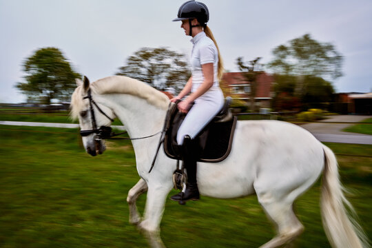 Rider and Horse Moving on a Green Field in a Rural Area