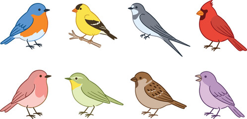 Obraz premium North American songbirds vector illustration collection featuring detailed cartoon designs of bluebird goldfinch swallow red cardinal robin warbler sparrow and purple finch species.