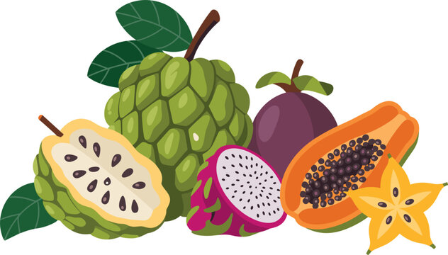 PrintExotic Tropical Fruit Vector Group with Whole and Half Custard Apple Dragon Fruit Sliced Papaya Mangosteen and Star Fruit on White Background