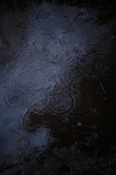 Rain falls on dark surface in a natural setting during evening