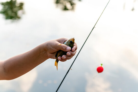  hand holding small fish 