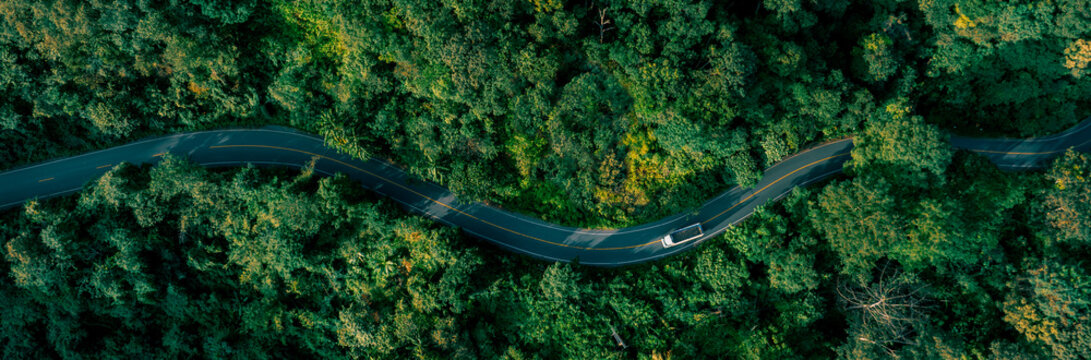 Scenic forest road symbolizing a journey toward net zero emissions, sustainability leadership, responsible investment, and climate-positive business transformation.