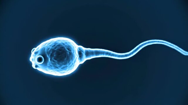 Single sperm cell undulating extreme close-up against soft blue laboratory backdrop for fertility medicine, IVF education, reproductive research, clinical communication, conception health messaging.