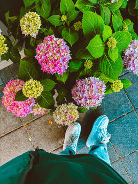 Women's legs in sneakers against the backdrop of a street planter.