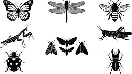 Detailed insect and bug vector silhouette collection featuring butterfly dragonfly honeybee praying mantis grasshopper ladybug moths and stag beetle © Gauranga